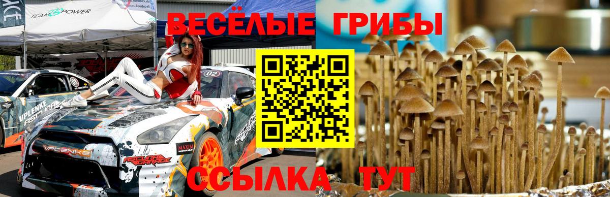 Псилоцибиновые грибы Magic Shrooms Крымск