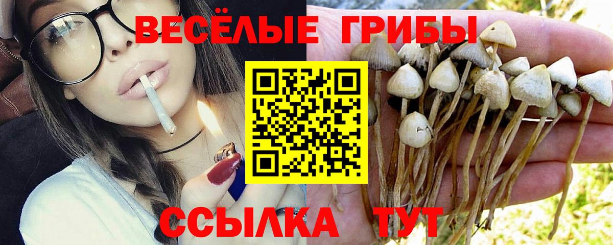 Крымск  Галлюциногенные грибы MAGIC MUSHROOMS  Вход с VPN 